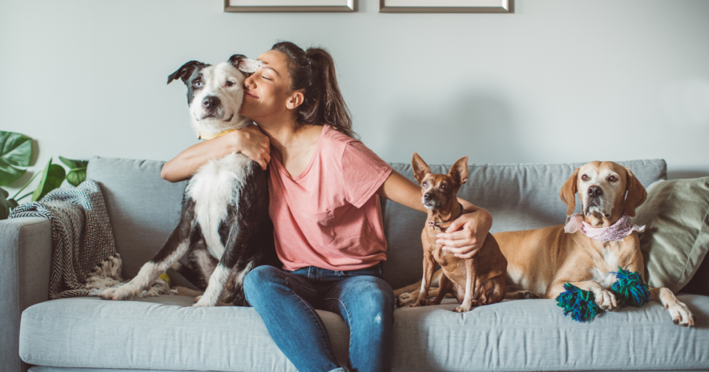 Pet Grooming