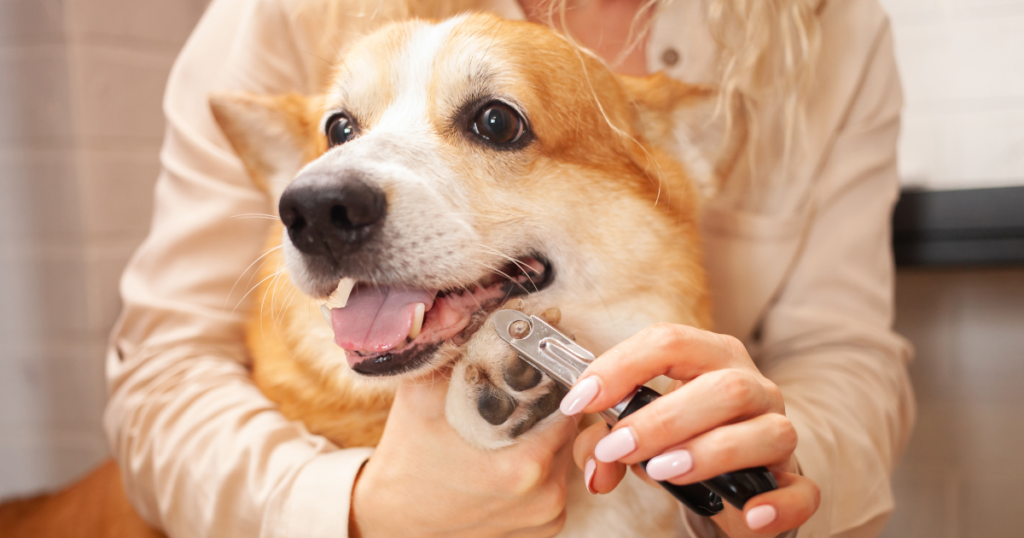 Nail Trimming