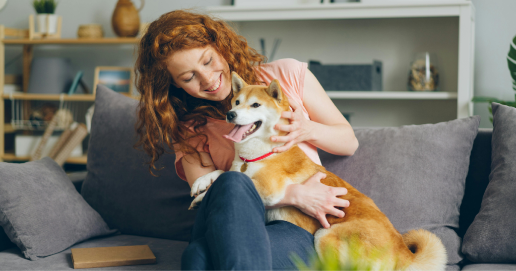 Simple massage techniques for pets to help them relax and improve comfort.