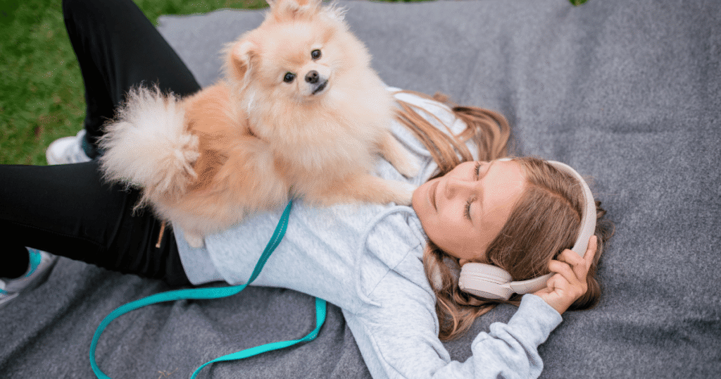 Pet relaxing in a calm and comfortable environment