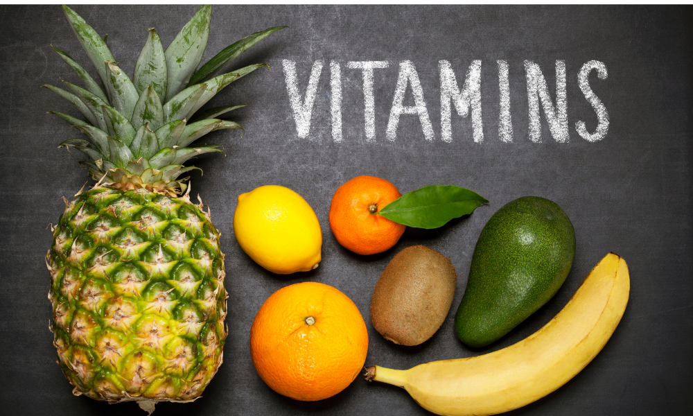 Best food for dogs contains essential vitamins and minerals for overall health