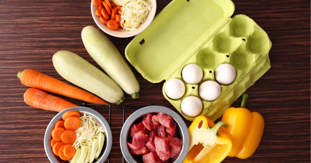 Fresh food for dogs served in a bowl with meat, vegetables, and healthy ingredients.