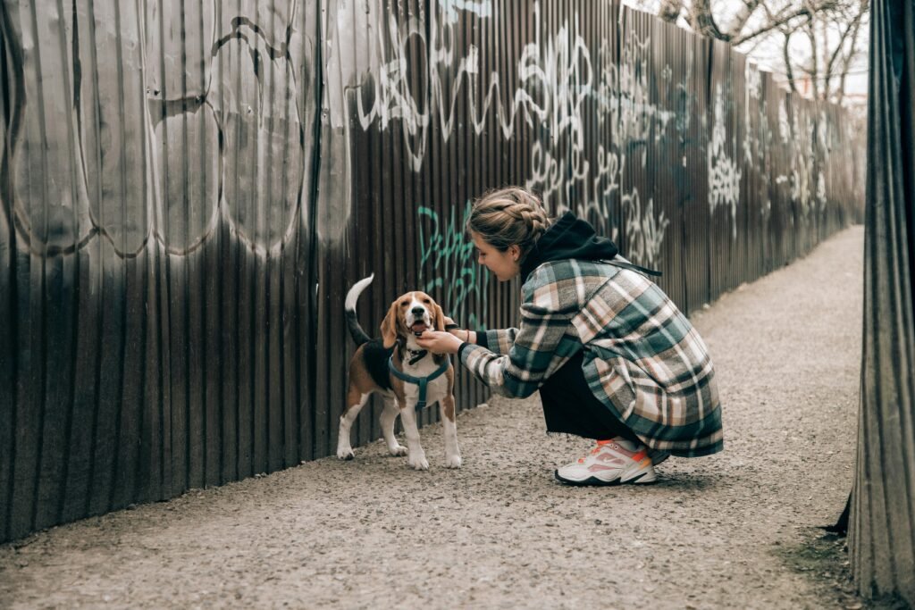 A woman in a plaid jacket pets a happy beagle by a graffiti-covered fence.