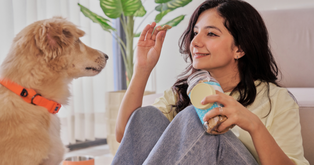 Dog with diarrhea receiving care at home with water and a healthy diet.