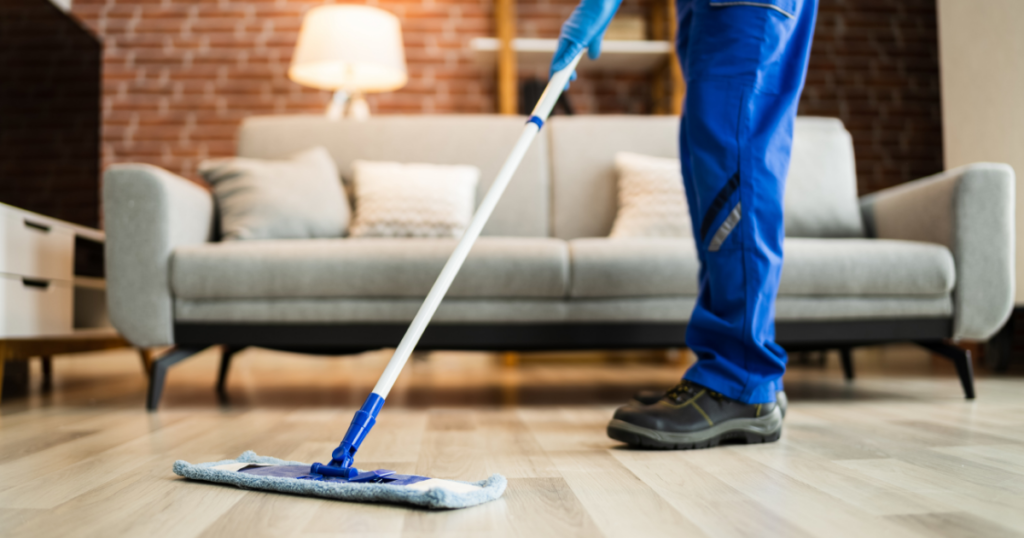 Home cleaning to remove fleas from cats