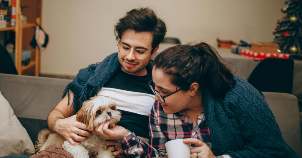 Owner caring for a pregnant dog with proper nutrition and comfort